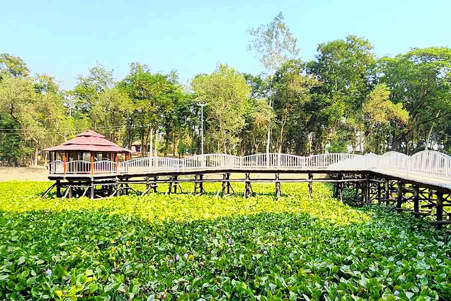 ঘুরে আসতে পারেন গড় মান্দারনও।