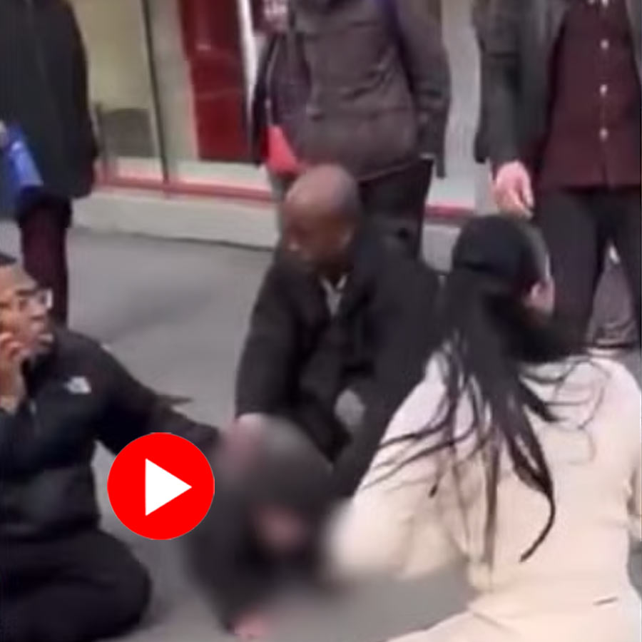 Heart-stopping Footage Shows New York Mother Intervenes to Save Son During Pitbull Attack