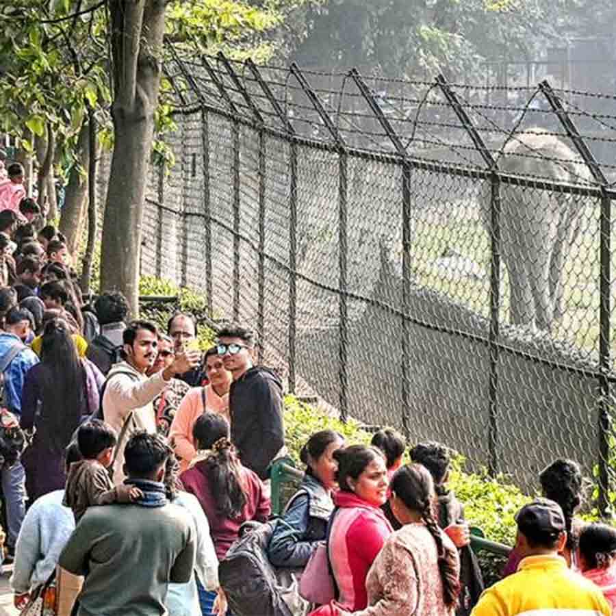 There were overflowing crowds at various places on Christmas Day