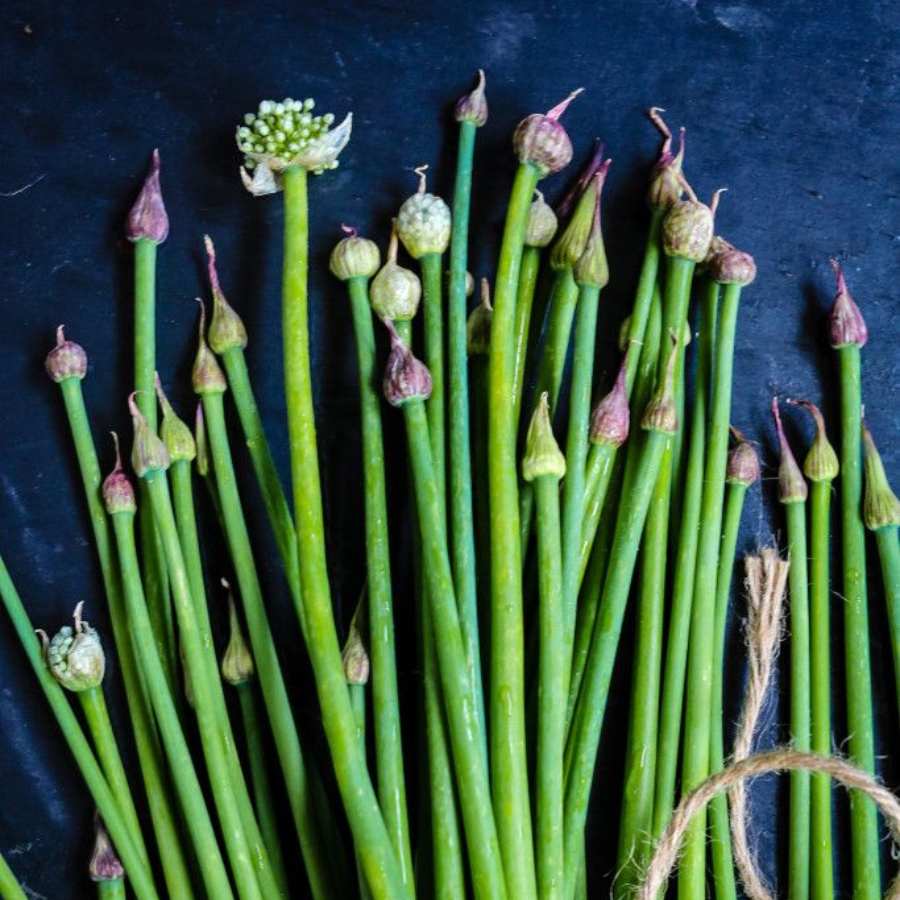 5 benefits of onion scapes and why should you eat it dgtl