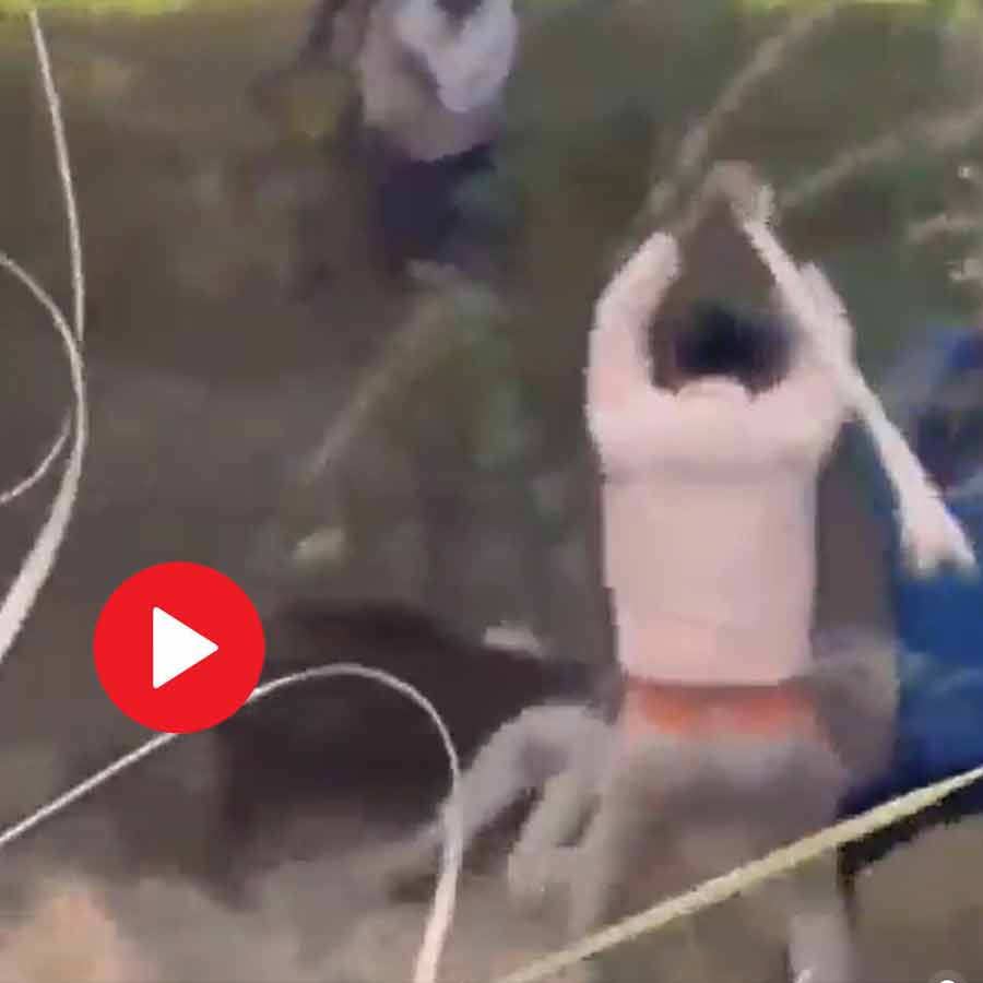 Video of wild boar attacking forest officer in UP during rescue operation goes viral dgtl