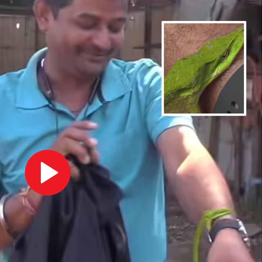 Video shows man let a snake bite his wrist