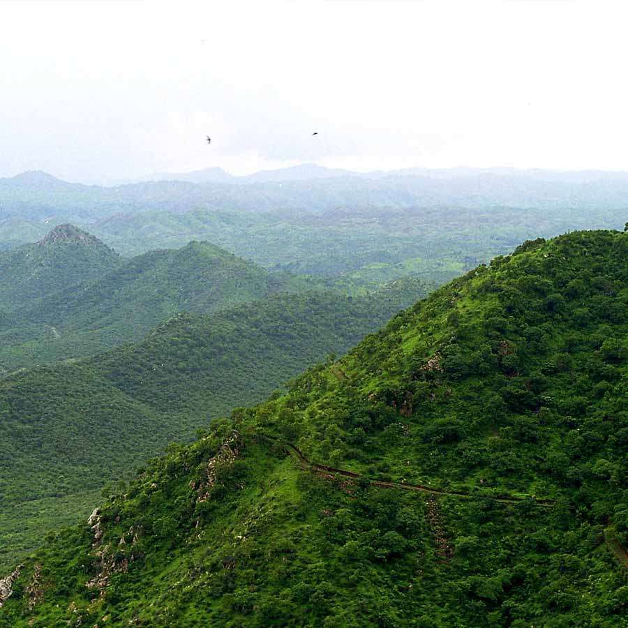 From the Pahalgam attack to Ahmedabad plane incident and SIR isuue, The Indian incidents that Marked 2025