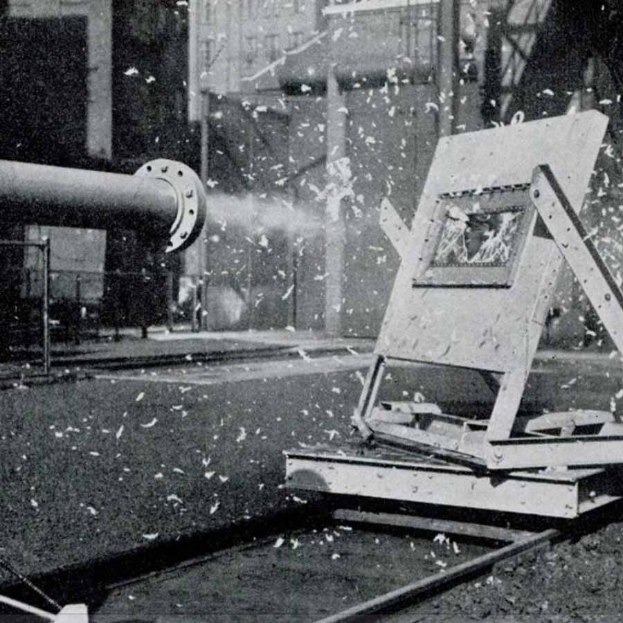 bird strike simulation