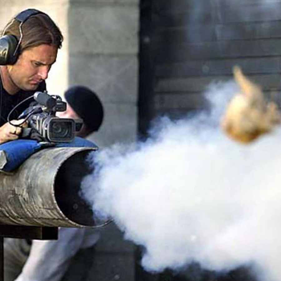 bird strike simulation