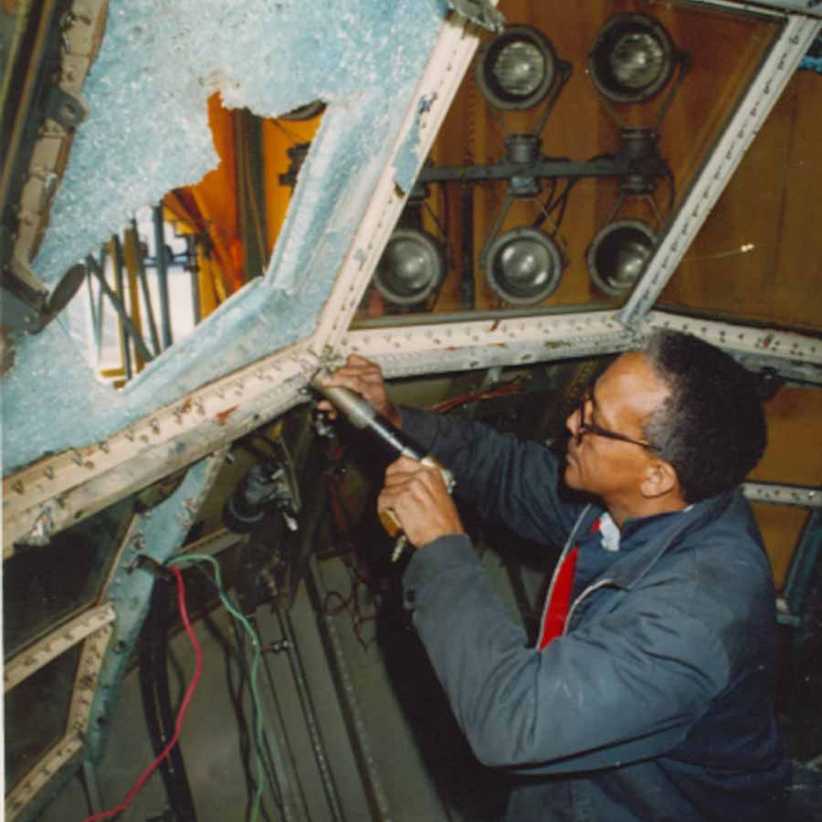 bird strike simulation