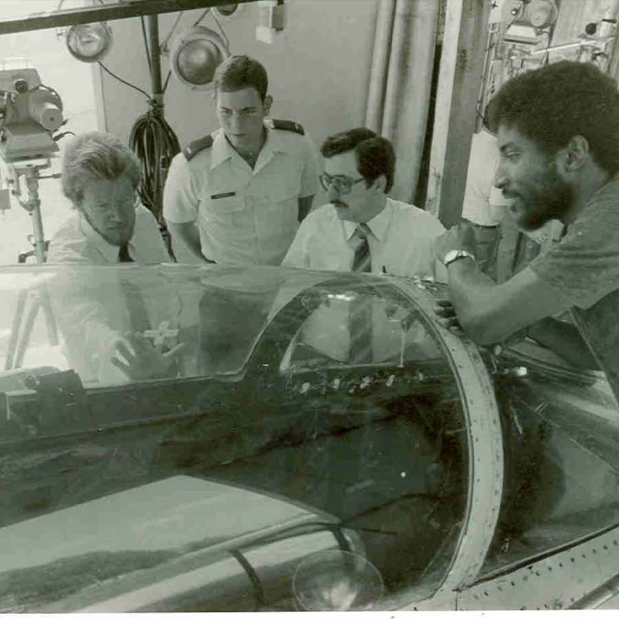 bird strike simulation