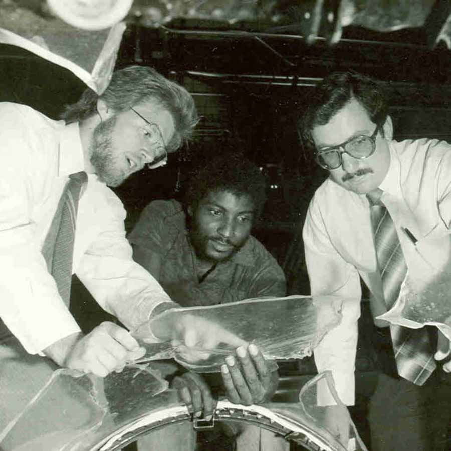 bird strike simulation