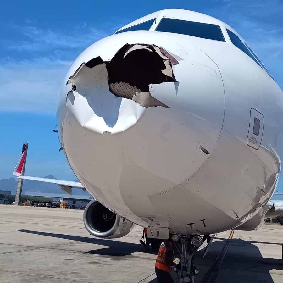 bird strike simulation