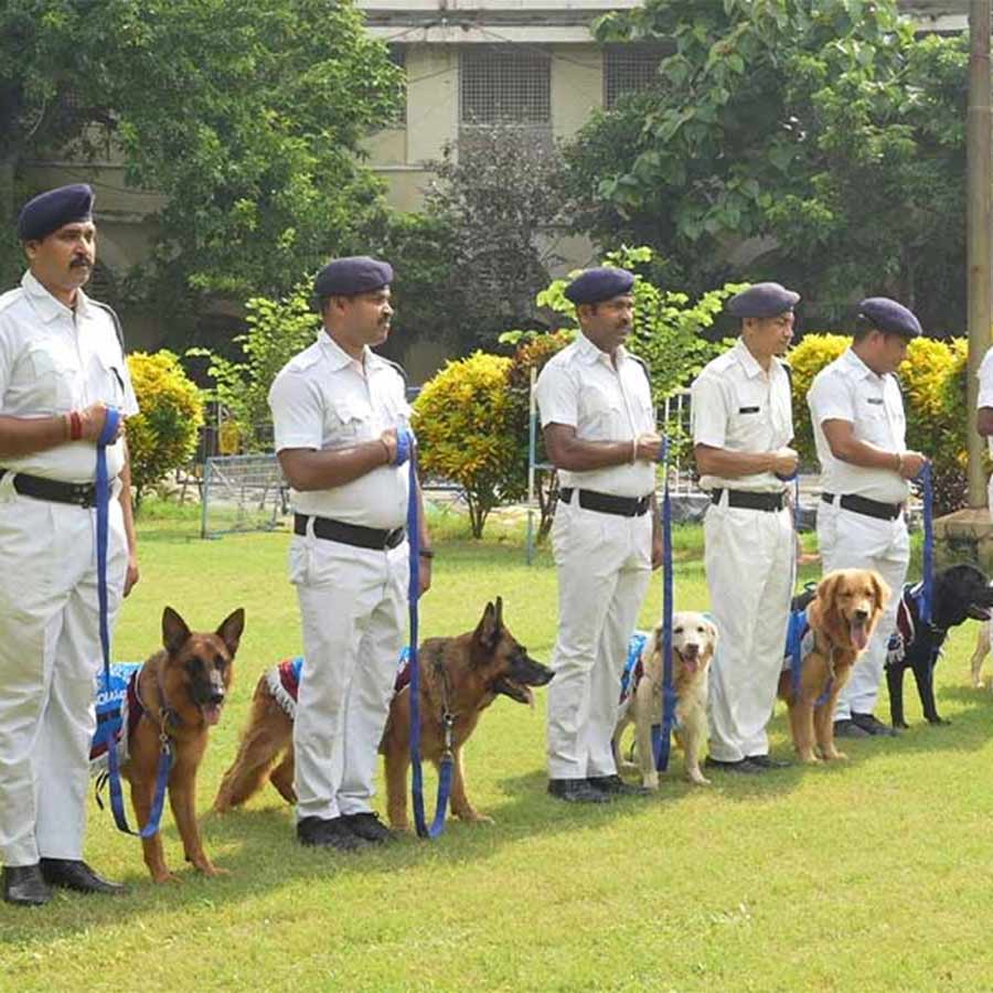 Special Task Force of WB Police is now preparing to form a separate dog squad