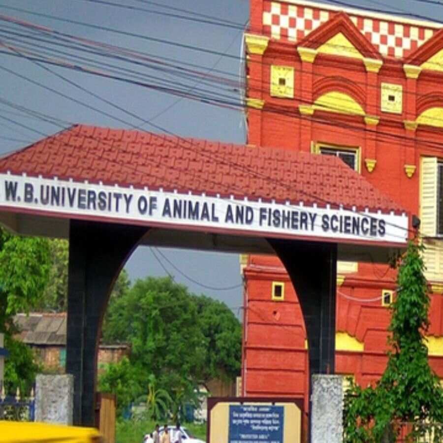 BVSc and Animal Husbandry programme at West Bengal University of Animal and Fishery Sciences dgtl
