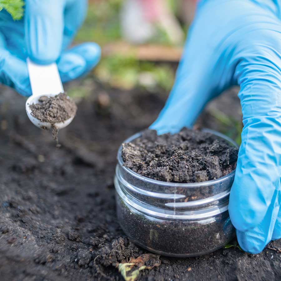 Kuttanad paddy fields show aluminium levels much higher than safe limits, many express concern