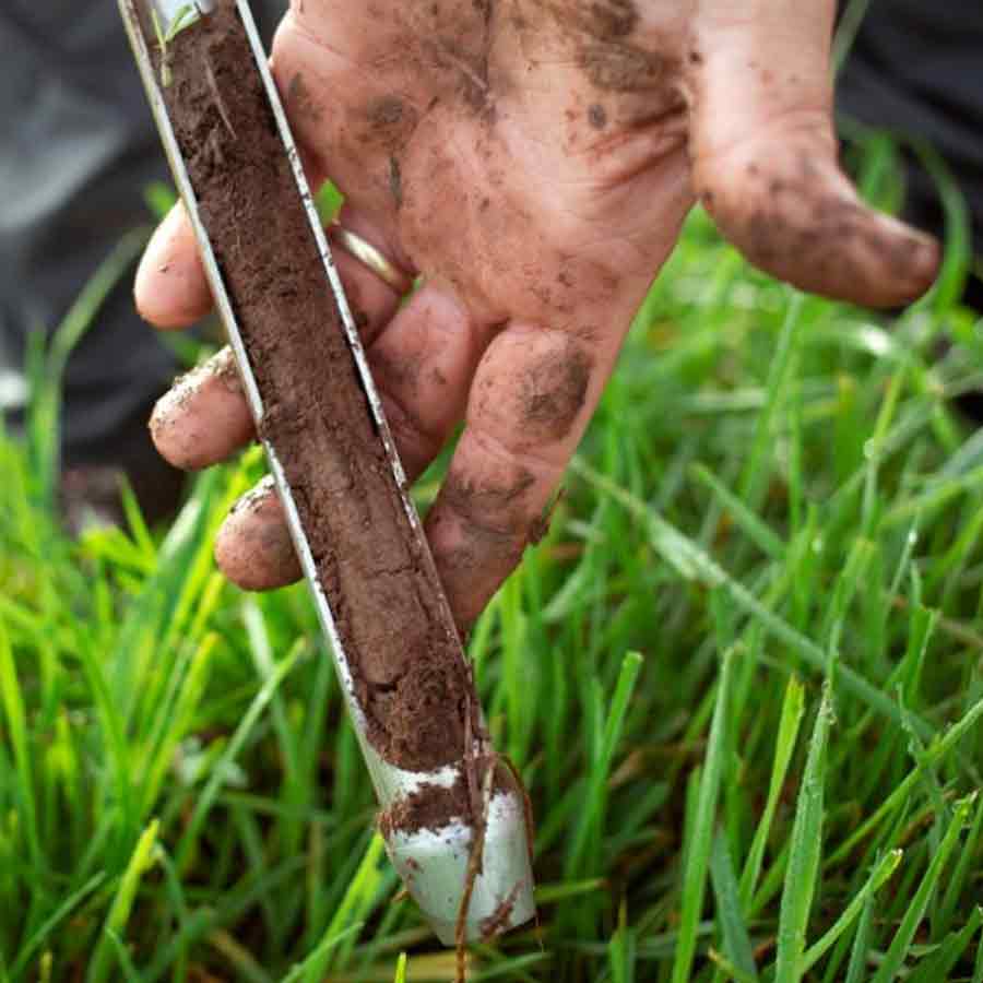 Kuttanad paddy fields show aluminium levels much higher than safe limits, many express concern