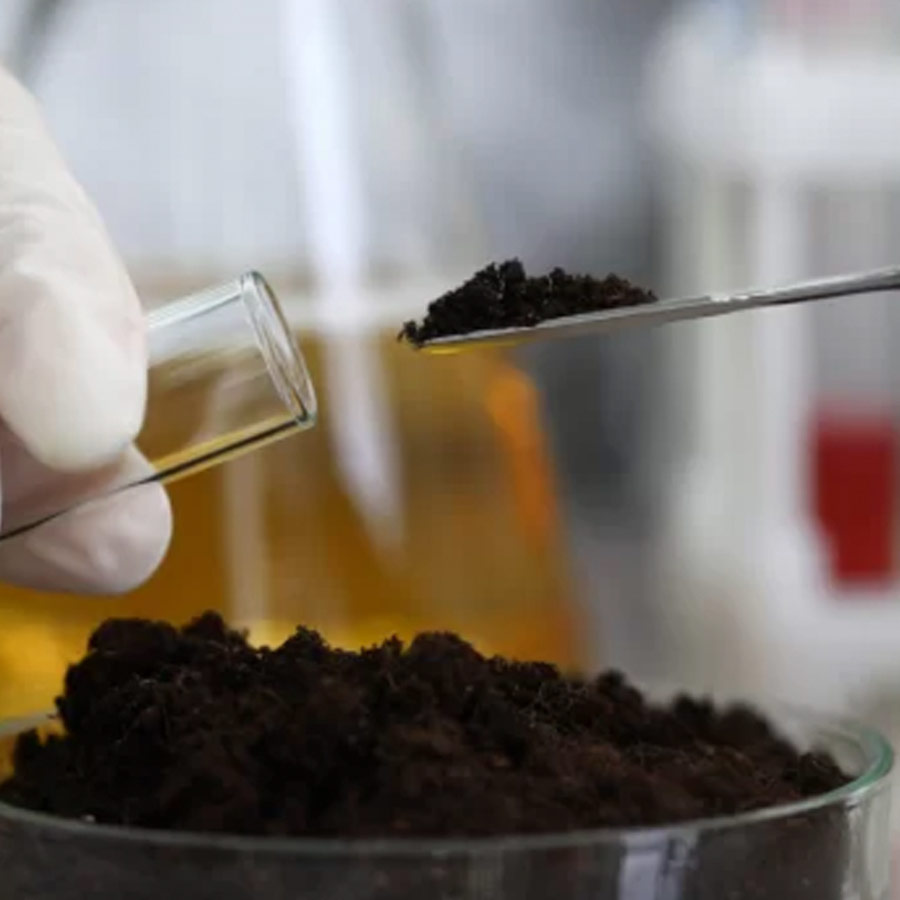 Kuttanad paddy fields show aluminium levels much higher than safe limits, many express concern