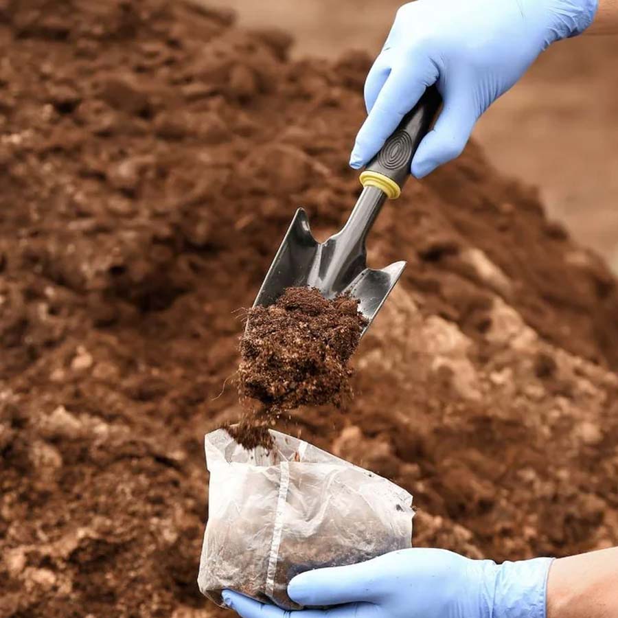 Kuttanad paddy fields show aluminium levels much higher than safe limits, many express concern