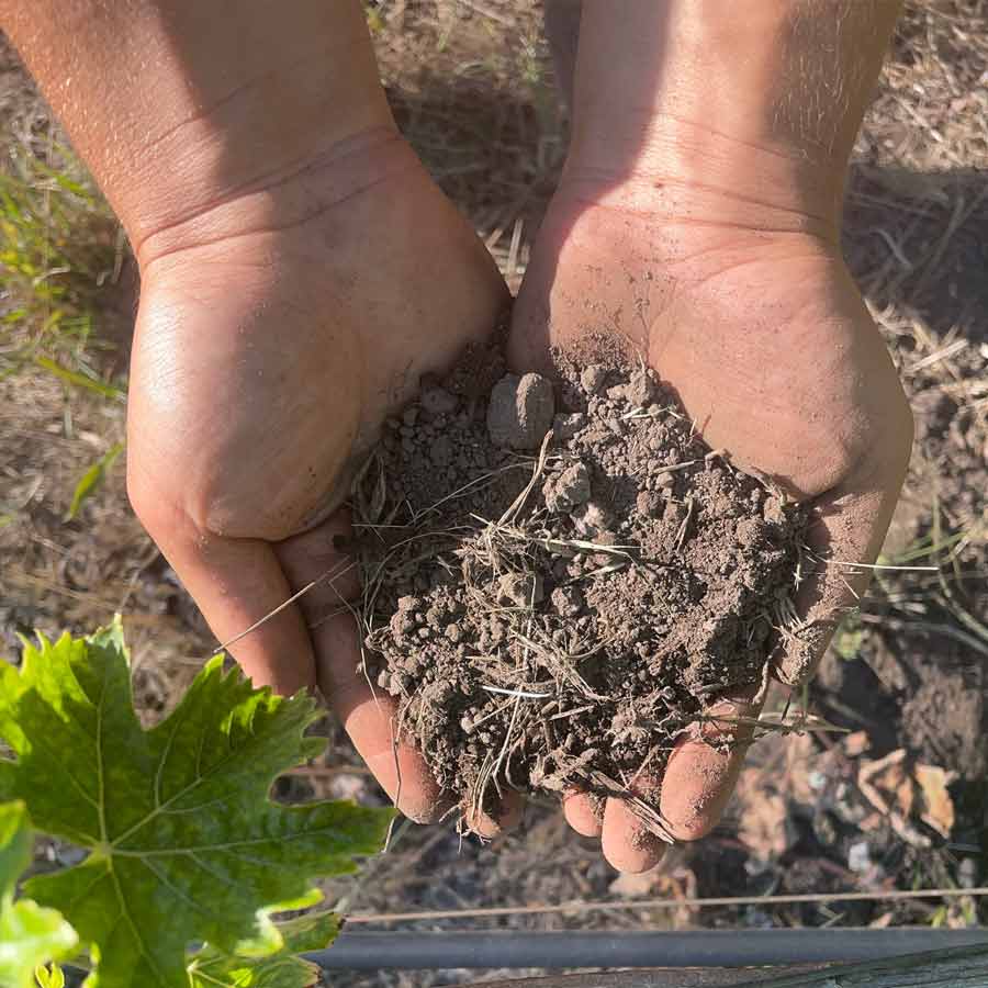 Kuttanad paddy fields show aluminium levels much higher than safe limits, many express concern