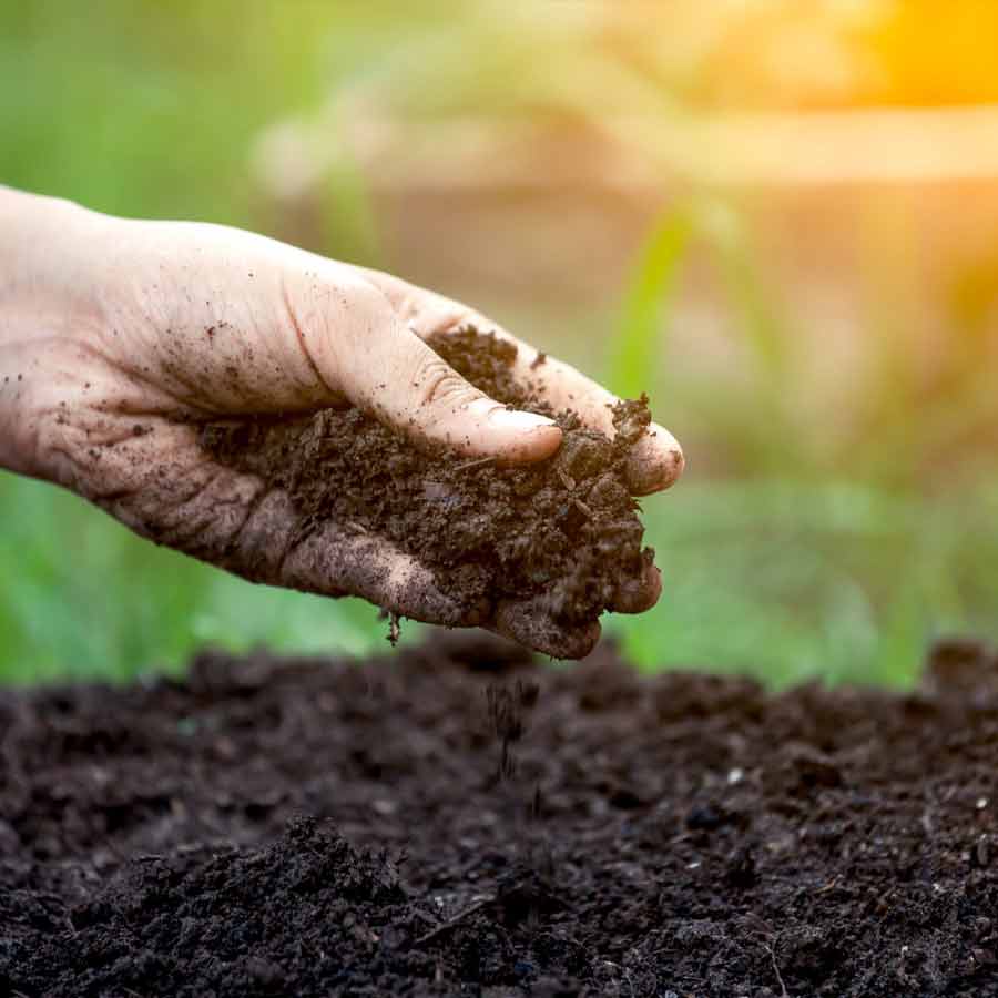 Kuttanad paddy fields show aluminium levels much higher than safe limits, many express concern