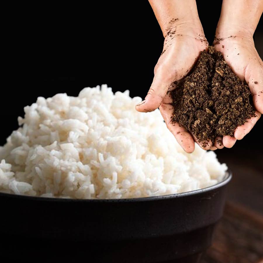 Kuttanad paddy fields show aluminium levels much higher than safe limits, many express concern