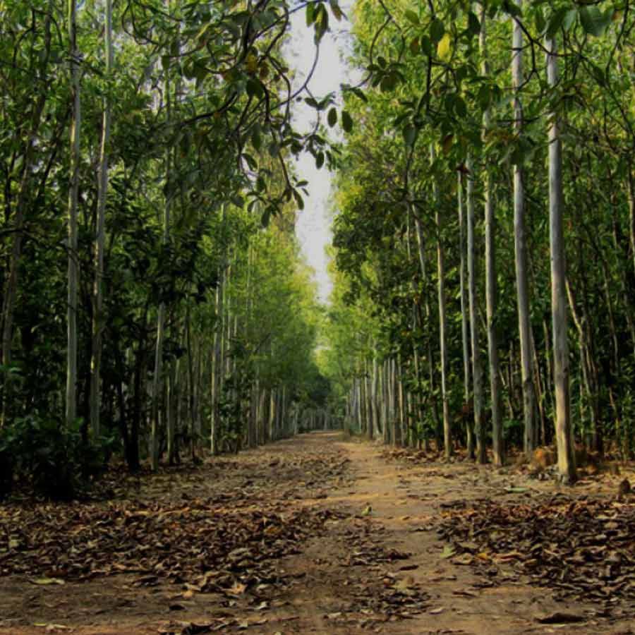 ঘুরে আসুন ওড়গ্রাম  থেকে।