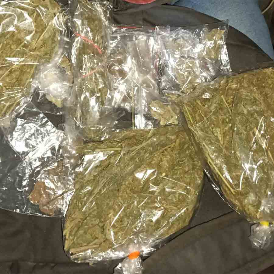 উদ্ধার হওয়া গাঁজা। 