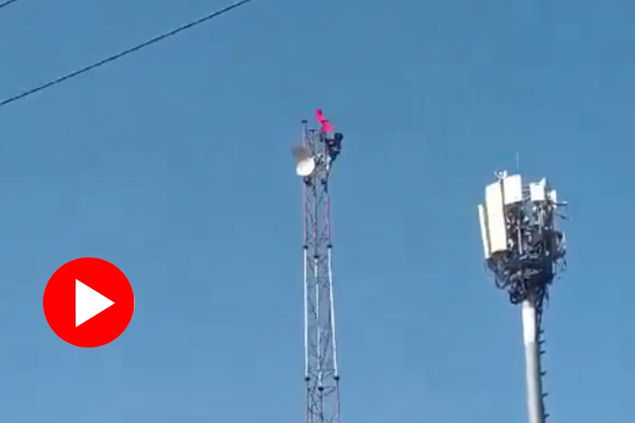 Drunk man in Bhopal climbed on mobile tower, video goes viral dgtl