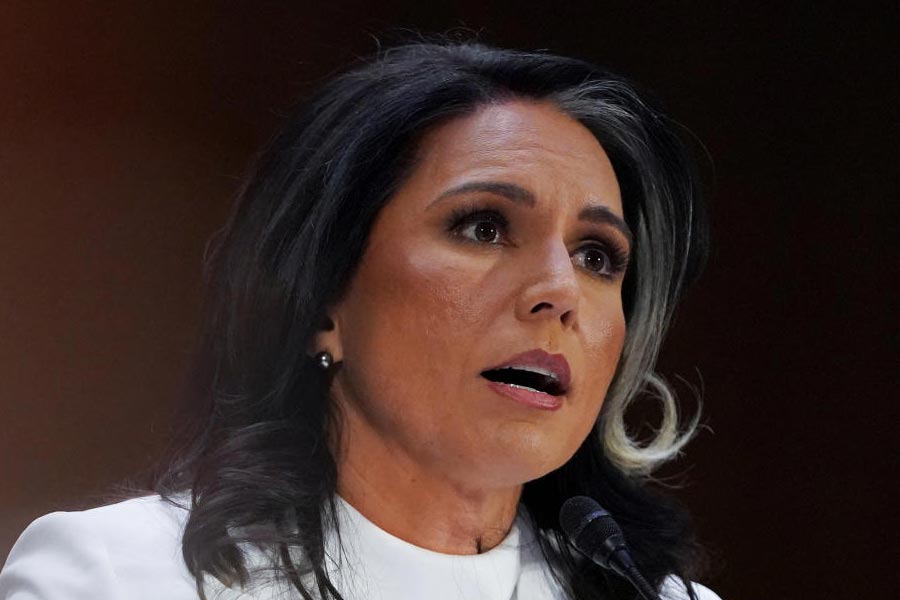 Donald Trump kitchen cabinet important member Tulsi Gabbard alleged involved in pyramid scam