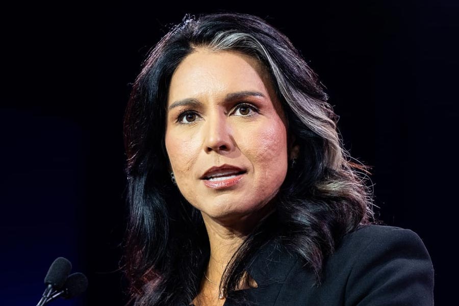 Donald Trump kitchen cabinet important member Tulsi Gabbard alleged involved in pyramid scam