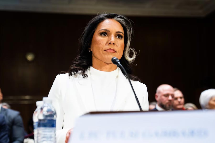 Donald Trump kitchen cabinet important member Tulsi Gabbard alleged involved in pyramid scam