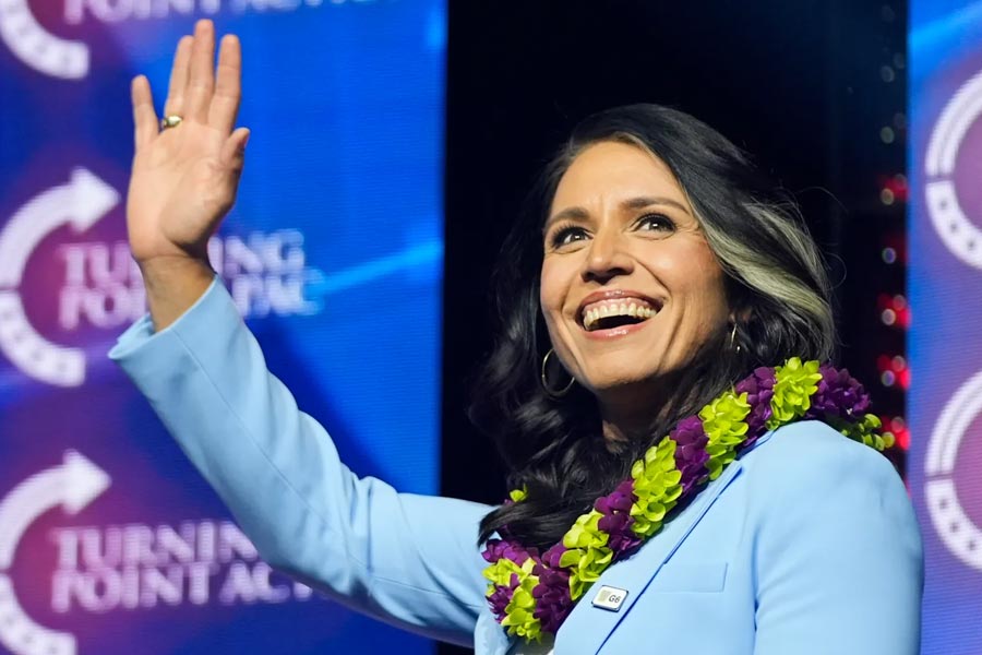 Donald Trump kitchen cabinet important member Tulsi Gabbard alleged involved in pyramid scam