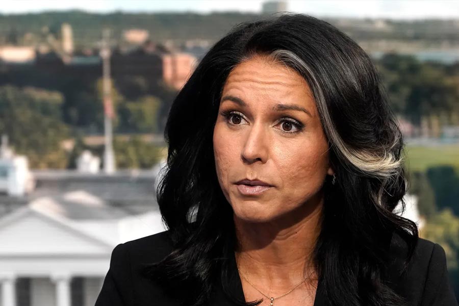 Donald Trump kitchen cabinet important member Tulsi Gabbard alleged involved in pyramid scam