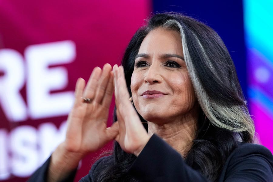 Donald Trump kitchen cabinet important member Tulsi Gabbard alleged involved in pyramid scam