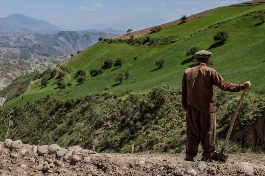 US denies to refund frozen multibillion dollars to Taliban of Afghanistan 