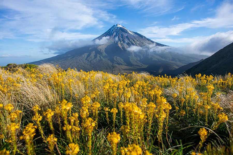 New Zealand’s Mount Taranaki Granted Legal Rights Equal to a Human Being