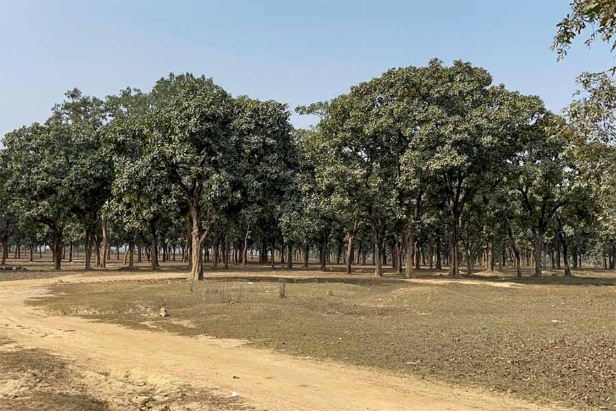 Residents of Deucha Pachami coal block want industrialization