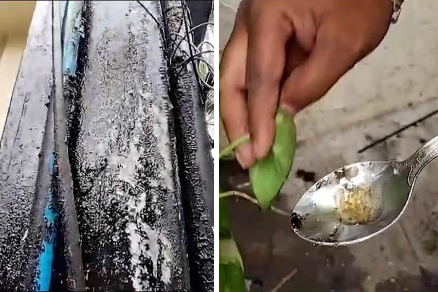 Oil leaks from Kolkata couples house in Garia Geological Survey of India to investigate dgtl