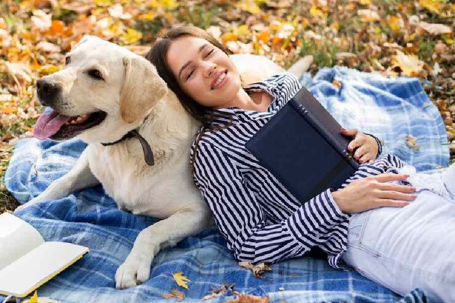 How to strengthen your relationship with your pet dog dgtl
