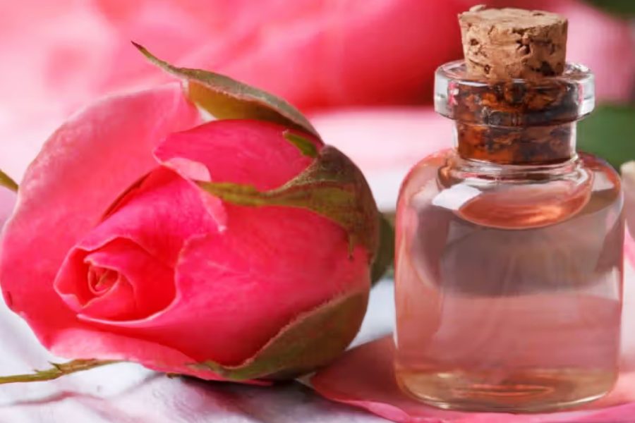 how to make rose oil which can be effective to cure ageing skin and boost elasticity dgtl