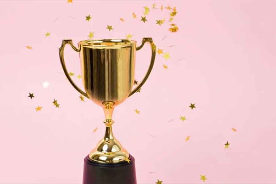 A cement company will reward some of the best women Panchayat Pradhan