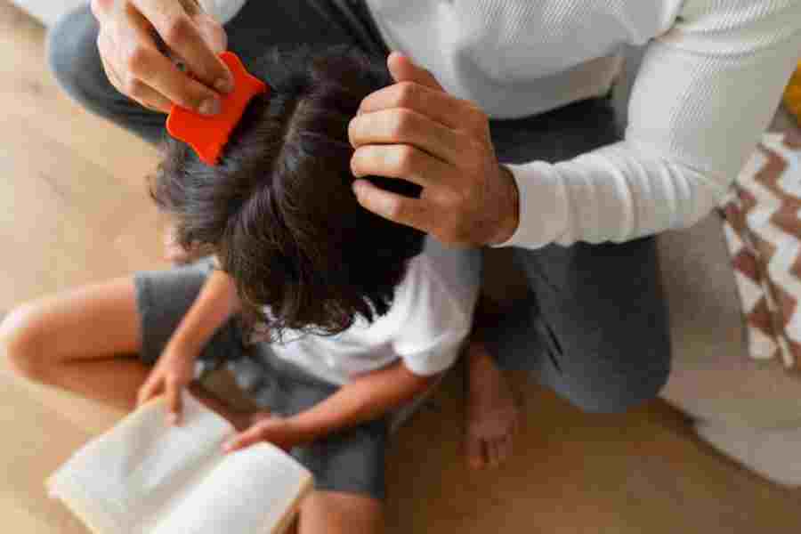 These are the best home remedies to remove lice from your child’s hair