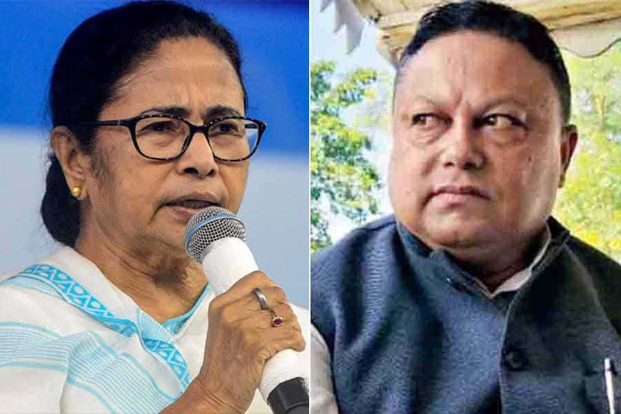 GTA Chief Anit Thapa called Mamata Banerjee regarding Tea Garden tourism isuues