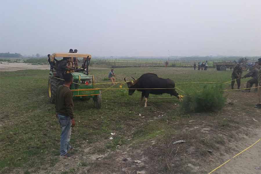 Forest Department to keep strict surveillance on activity of wild animals during the days of Madhyamik exam