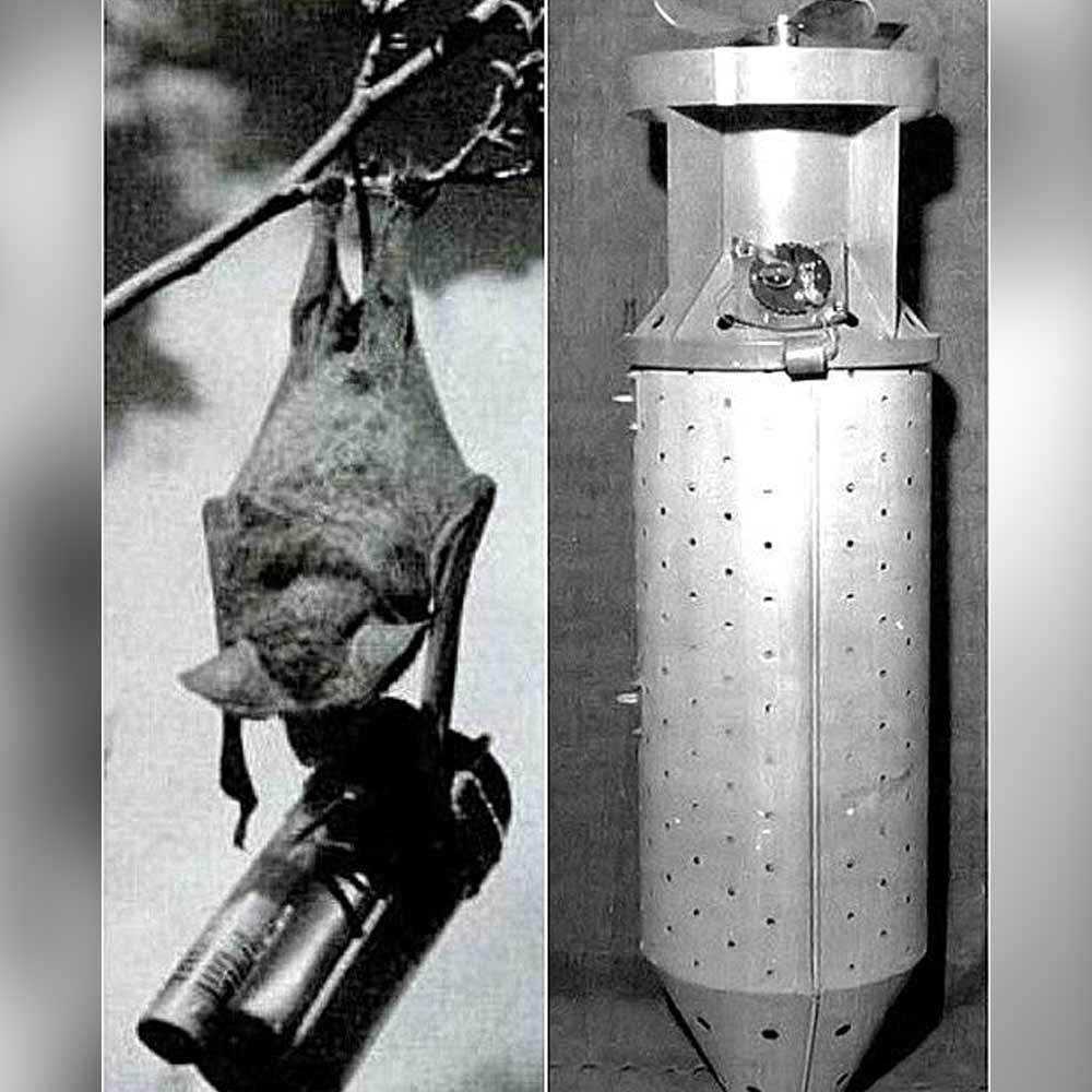 List of weird weapons used or invented during world war II