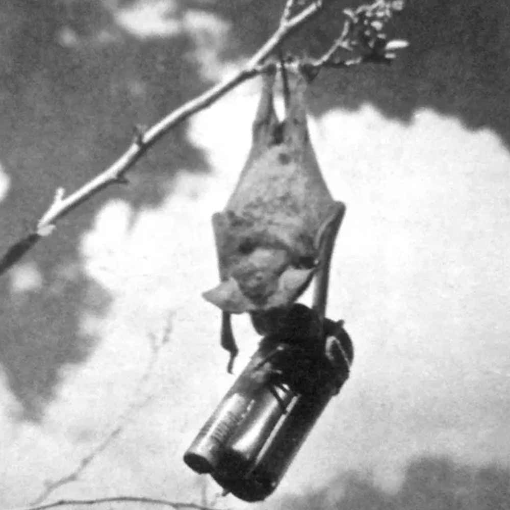 List of weird weapons used or invented during world war II