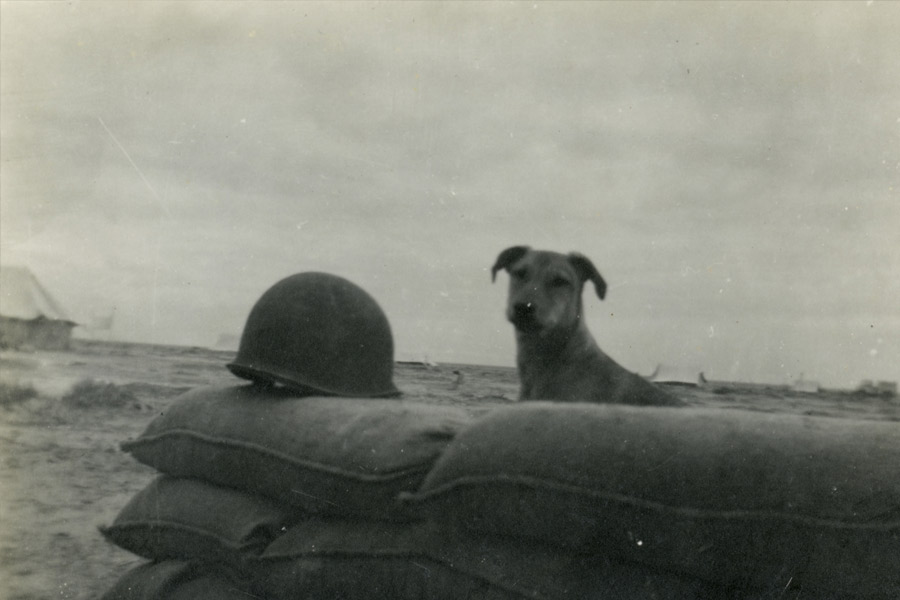 List of weird weapons used or invented during world war II