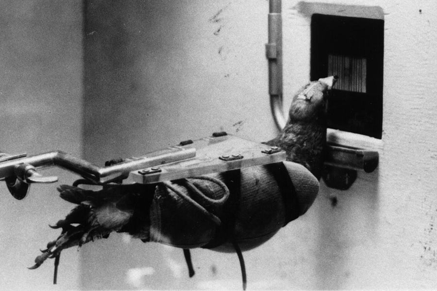 List of weird weapons used or invented during world war II