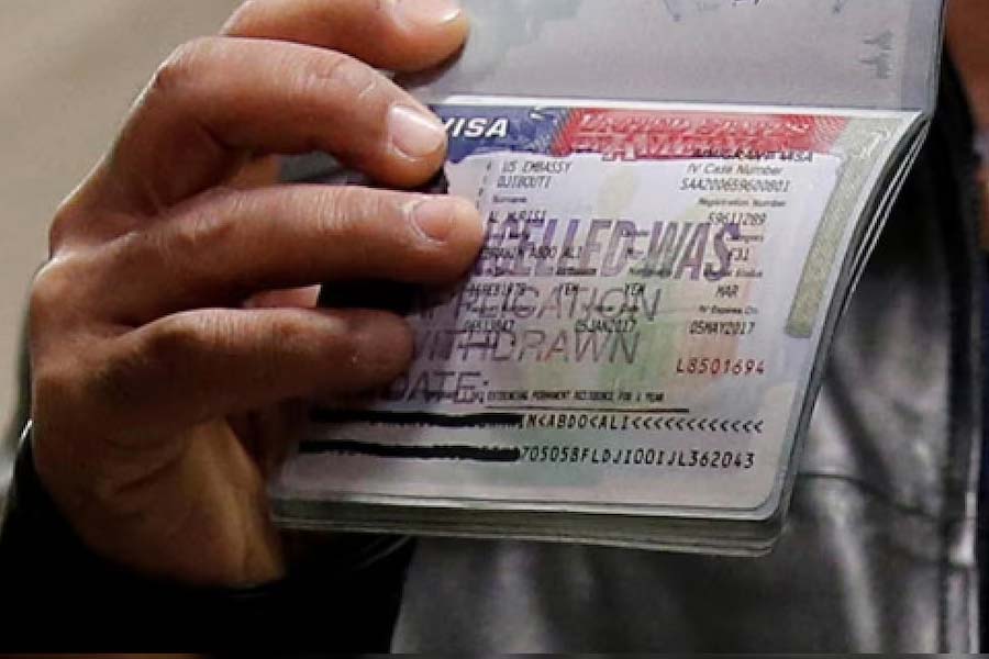 20 thousand Indian students did not join colleges after arriving in Canada govt and has no record of them