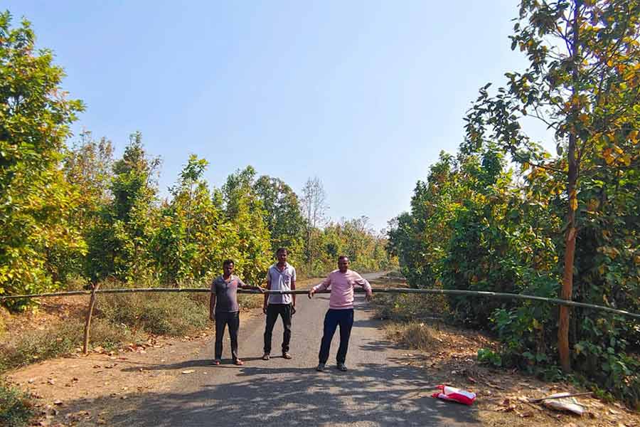Madhyamik Exam 2025: Forest Department to keep a strict surveillance on elephant corridor at Midnapore for exam candidates
