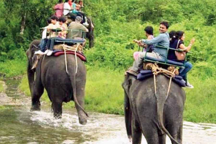 A minimal entry fee is necessary for forest safari to preserve the resources