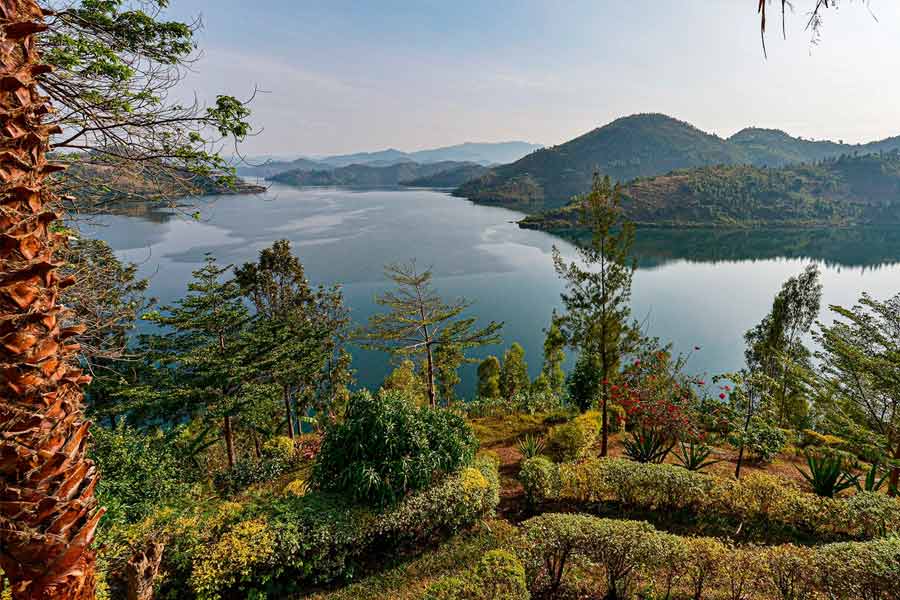 Devastating Impact of Conflicts in Africa's Great Lakes Region