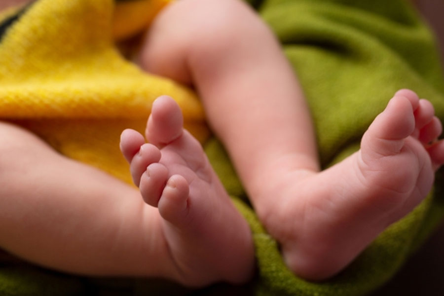 A dog eats dead new-born’s head at government hospital compound in Uttar Pradesh